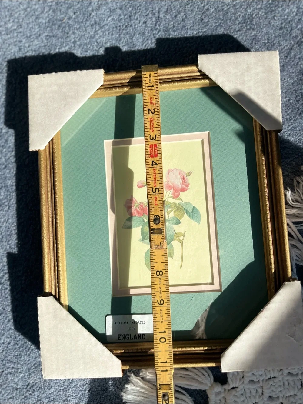 Gold Framed Pink Rose Botanical Wall Art  illustration by Pierre-Joseph Redout